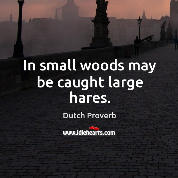 In small woods may be caught large hares. Dutch Proverbs Image