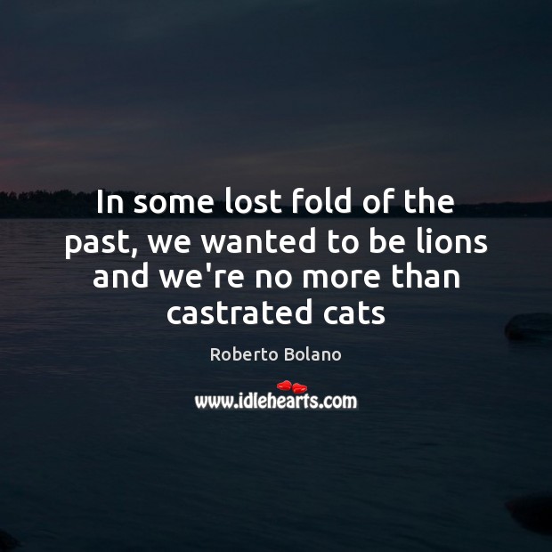 In some lost fold of the past, we wanted to be lions and we’re no more than castrated cats Roberto Bolano Picture Quote