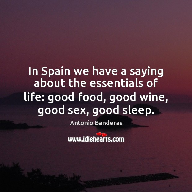 In Spain we have a saying about the essentials of life: good Antonio Banderas Picture Quote