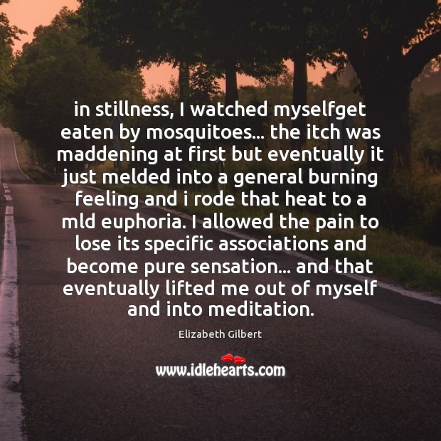 In stillness, I watched myselfget eaten by mosquitoes… the itch was maddening Elizabeth Gilbert Picture Quote