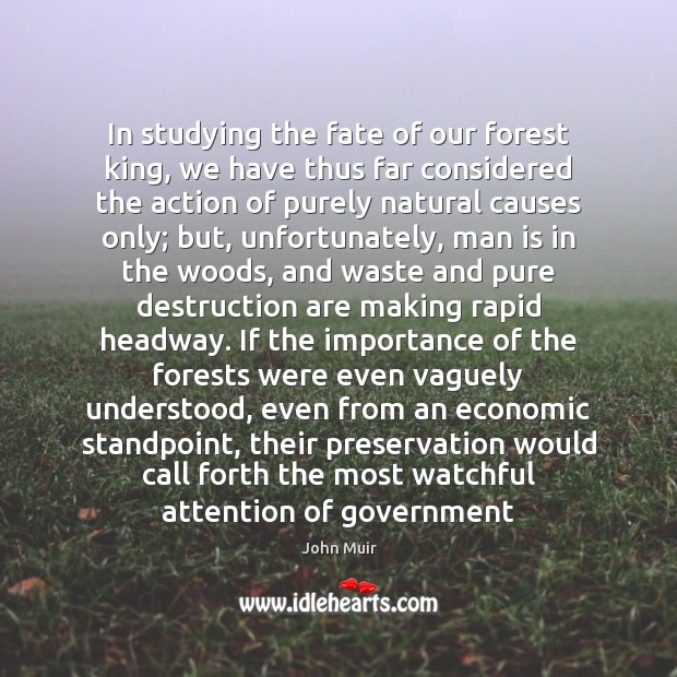 In studying the fate of our forest king, we have thus far John Muir Picture Quote