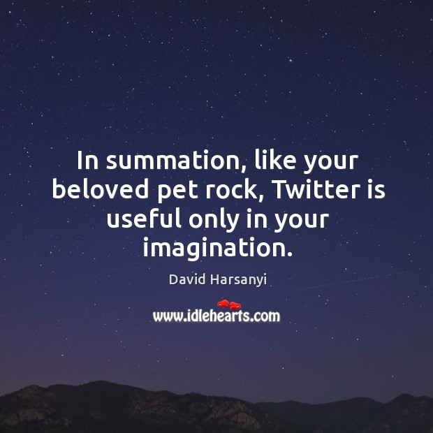 In summation, like your beloved pet rock, Twitter is useful only in your imagination. David Harsanyi Picture Quote