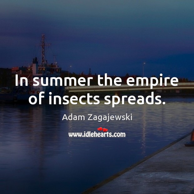 In summer the empire of insects spreads. Adam Zagajewski Picture Quote