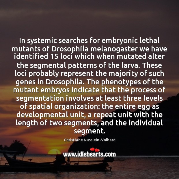 In systemic searches for embryonic lethal mutants of Drosophila melanogaster we have Christiane Nusslein-Volhard Picture Quote
