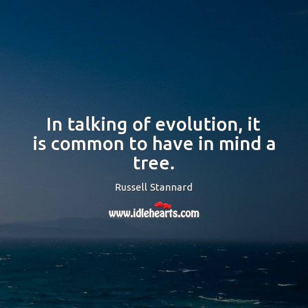 In talking of evolution, it is common to have in mind a tree. Russell Stannard Picture Quote