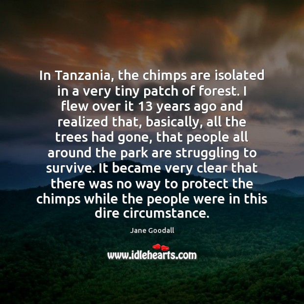 In Tanzania, the chimps are isolated in a very tiny patch of Image