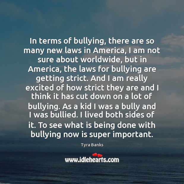 In terms of bullying, there are so many new laws in America, Tyra Banks Picture Quote
