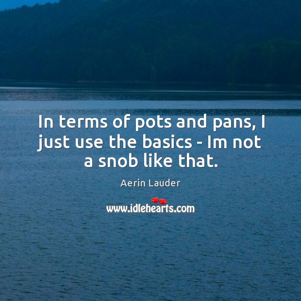In terms of pots and pans, I just use the basics – Im not a snob like that. Aerin Lauder Picture Quote