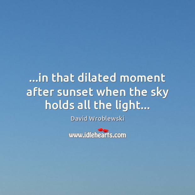 …in that dilated moment after sunset when the sky holds all the light… David Wroblewski Picture Quote