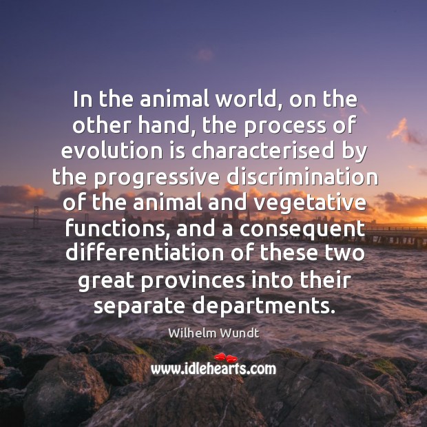 In the animal world, on the other hand, the process of evolution is characterised by the Wilhelm Wundt Picture Quote