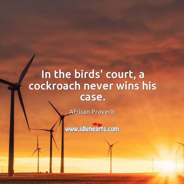 In the birds’ court, a cockroach never wins his case. Image