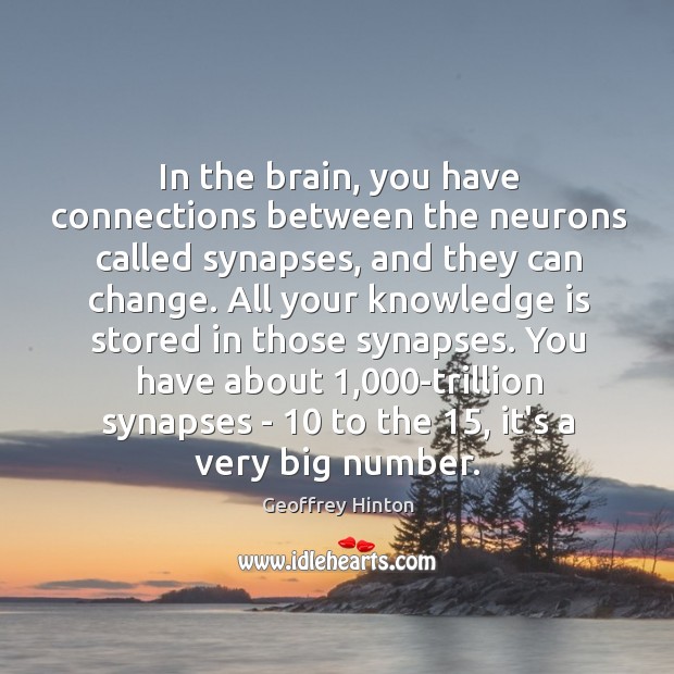 In the brain, you have connections between the neurons called synapses, and Geoffrey Hinton Picture Quote