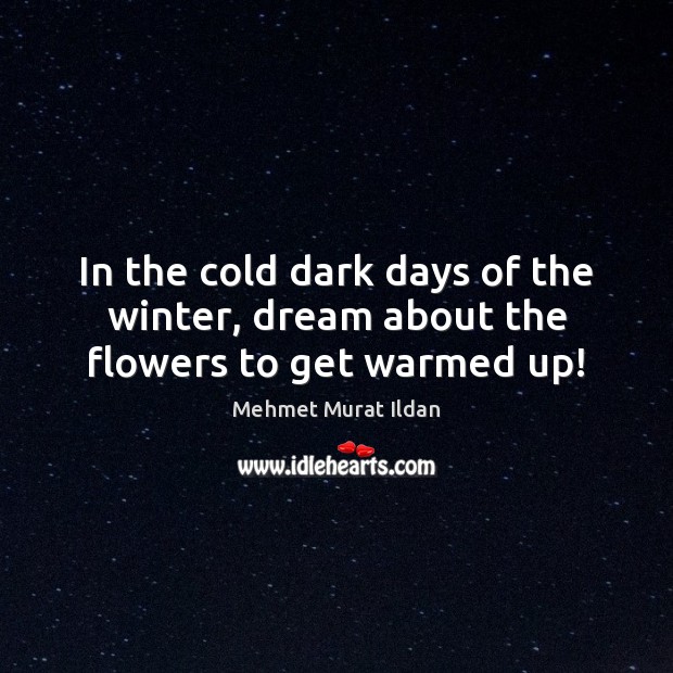 In the cold dark days of the winter, dream about the flowers to get warmed up! Mehmet Murat Ildan Picture Quote