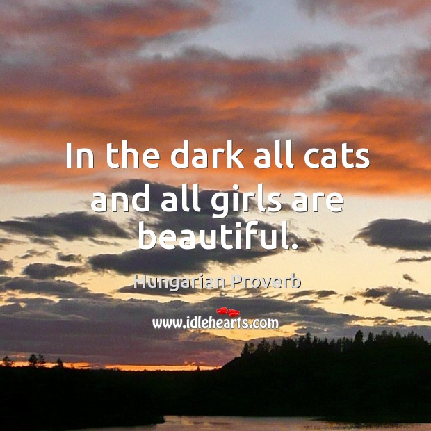 In the dark all cats and all girls are beautiful. 