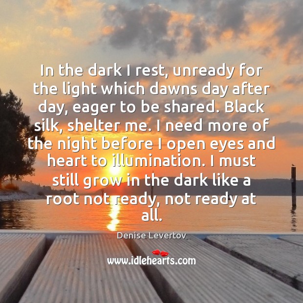 In the dark I rest, unready for the light which dawns day Image