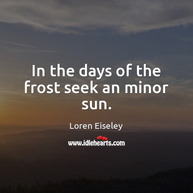 In the days of the frost seek an minor sun. Loren Eiseley Picture Quote