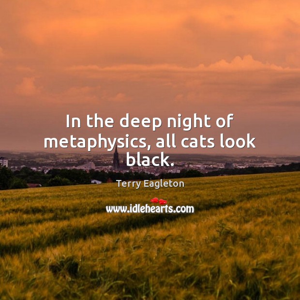 In the deep night of metaphysics, all cats look black. Terry Eagleton Picture Quote