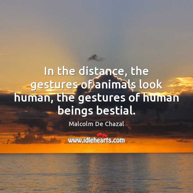 In the distance, the gestures of animals look human, the gestures of human beings bestial. Image