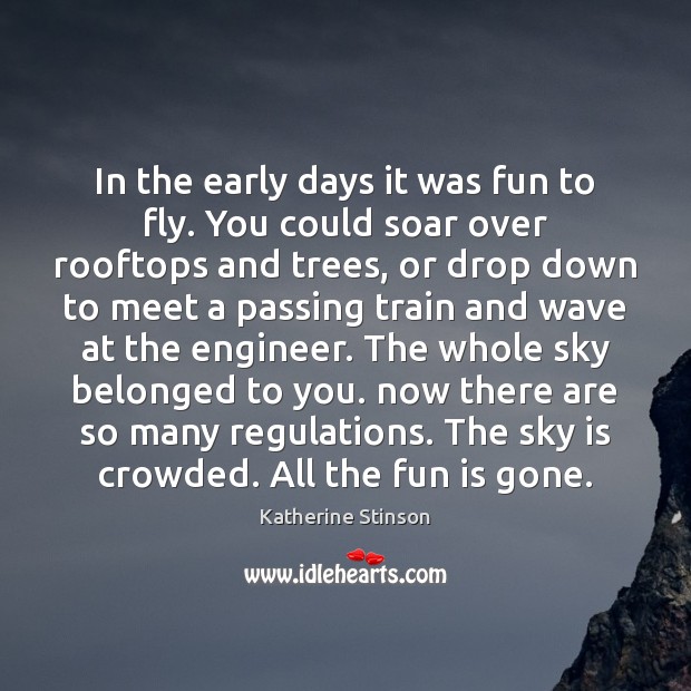 In the early days it was fun to fly. You could soar Katherine Stinson Picture Quote