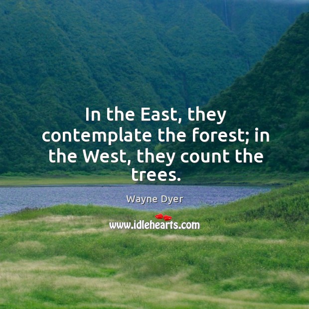 In the East, they contemplate the forest; in the West, they count the trees. Wayne Dyer Picture Quote