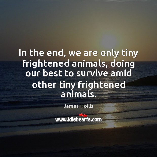 In the end, we are only tiny frightened animals, doing our best James Hollis Picture Quote