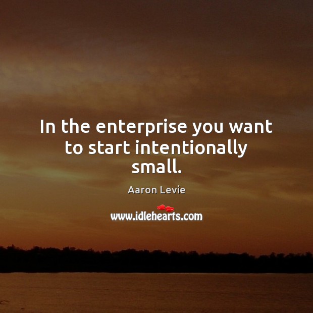 In the enterprise you want to start intentionally small. Aaron Levie Picture Quote