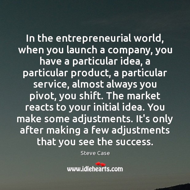 In the entrepreneurial world, when you launch a company, you have a Steve Case Picture Quote