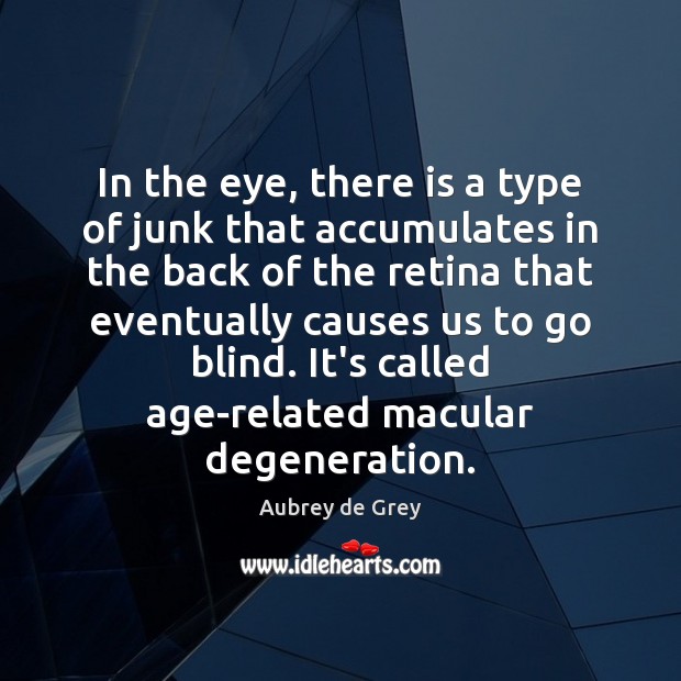 In the eye, there is a type of junk that accumulates in Aubrey de Grey Picture Quote