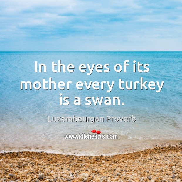 In the eyes of its mother every turkey is a swan. Luxembourgan Proverbs Image