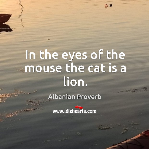 In the eyes of the mouse the cat is a lion. Albanian Proverbs Image