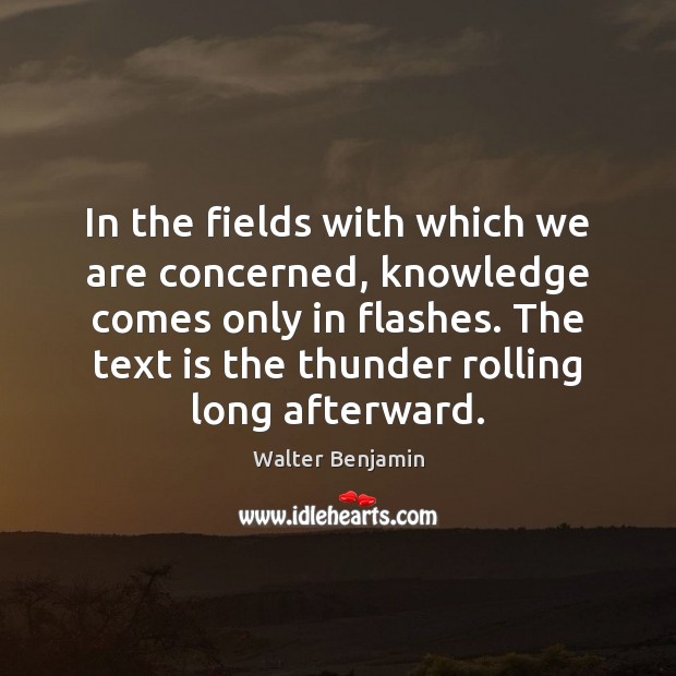 In the fields with which we are concerned, knowledge comes only in Walter Benjamin Picture Quote