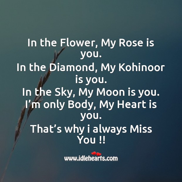 In the flower, my rose is you. Missing You Messages Image