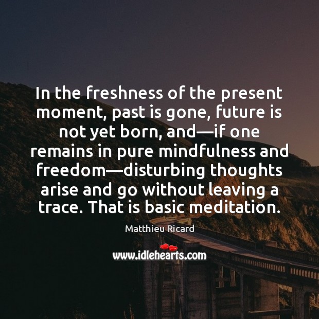 In the freshness of the present moment, past is gone, future is Matthieu Ricard Picture Quote