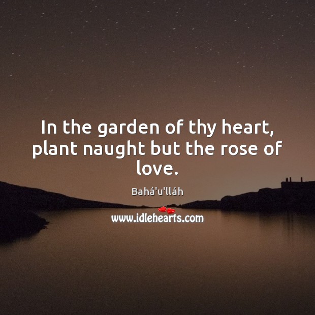 In the garden of thy heart, plant naught but the rose of love. Bahá’u’lláh Picture Quote