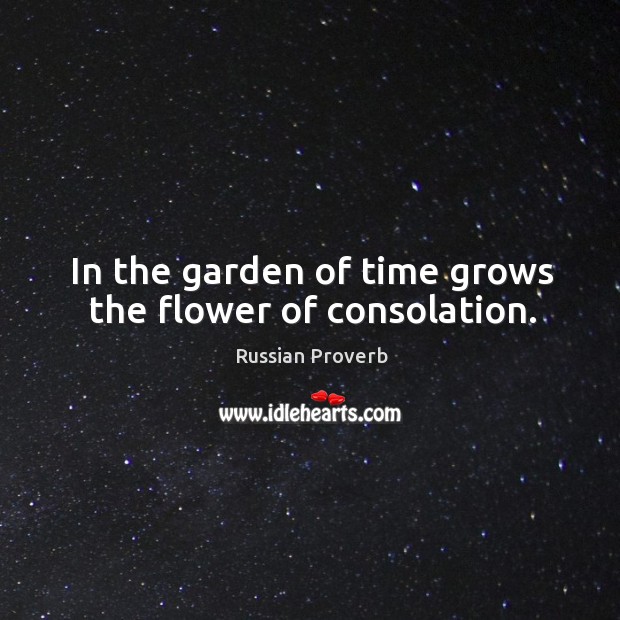 In the garden of time grows the flower of consolation. Image