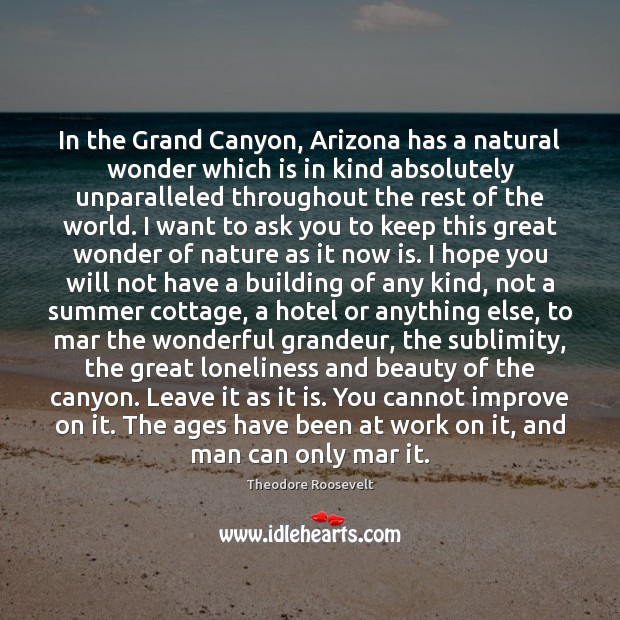 In the Grand Canyon, Arizona has a natural wonder which is in Theodore Roosevelt Picture Quote