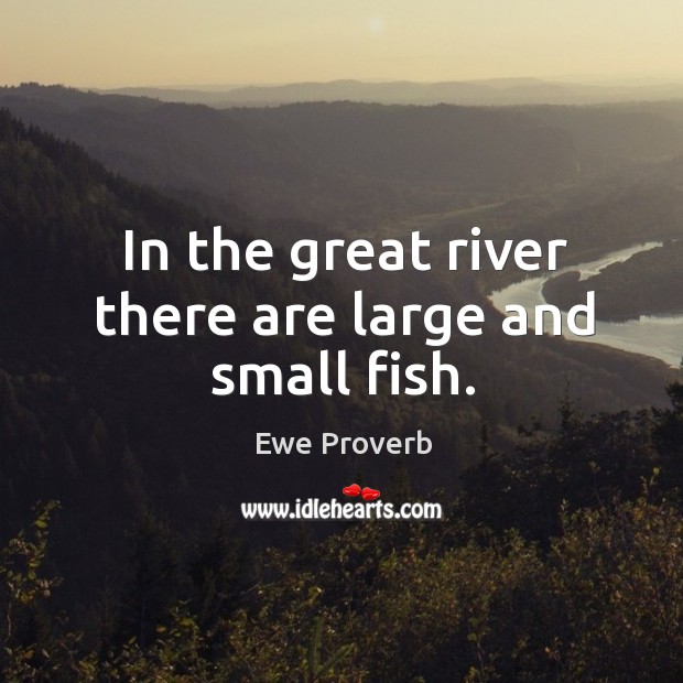 In the great river there are large and small fish. Ewe Proverbs Image
