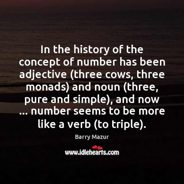 In the history of the concept of number has been adjective (three Barry Mazur Picture Quote
