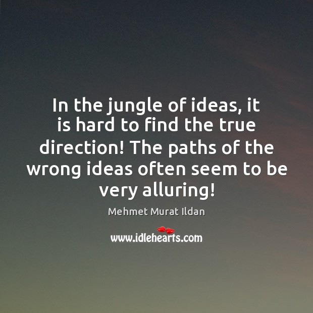 In the jungle of ideas, it is hard to find the true Mehmet Murat Ildan Picture Quote
