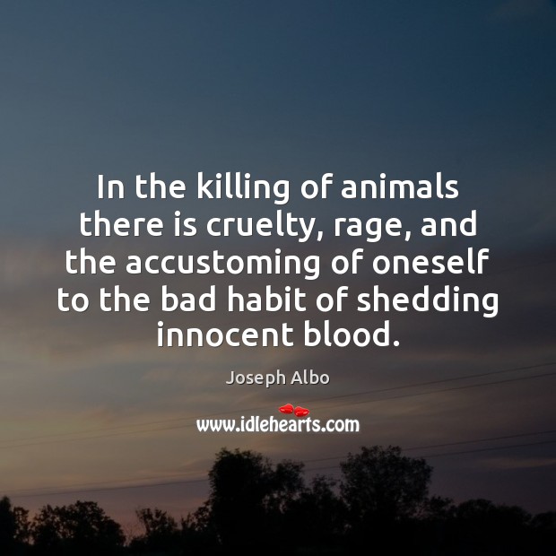 In the killing of animals there is cruelty, rage, and the accustoming Joseph Albo Picture Quote