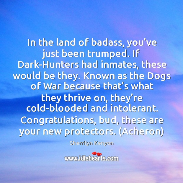 In the land of badass, you’ve just been trumped. If Dark-Hunters Image