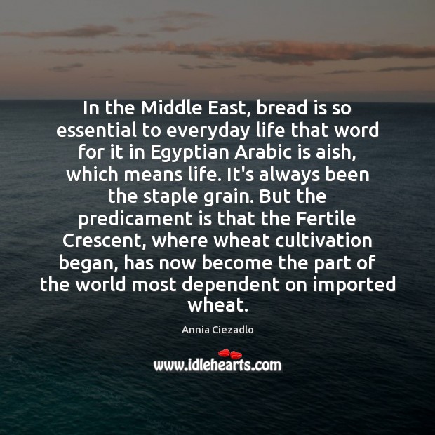 In the Middle East, bread is so essential to everyday life that Annia Ciezadlo Picture Quote