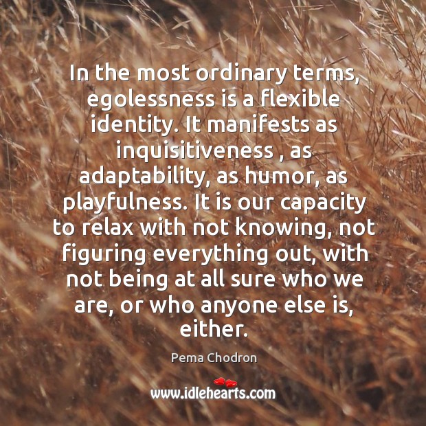 In the most ordinary terms, egolessness is a flexible identity. It manifests Pema Chodron Picture Quote