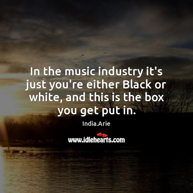 In the music industry it’s just you’re either Black or white, and India.Arie Picture Quote