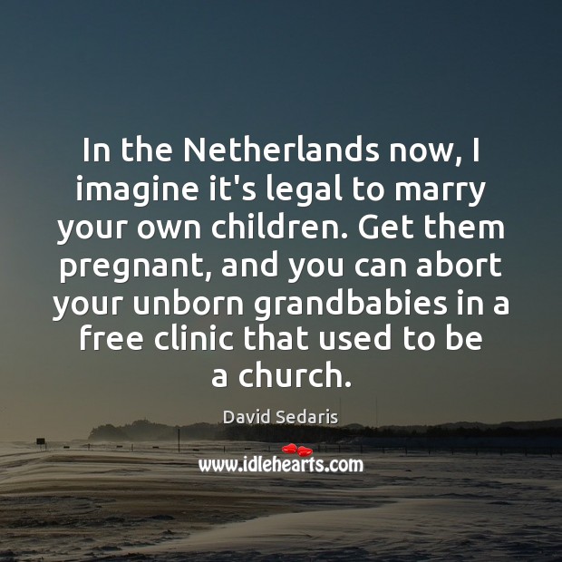 In the Netherlands now, I imagine it’s legal to marry your own David Sedaris Picture Quote