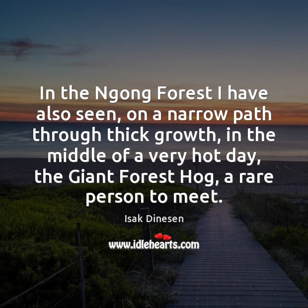 In the Ngong Forest I have also seen, on a narrow path Growth Quotes Image
