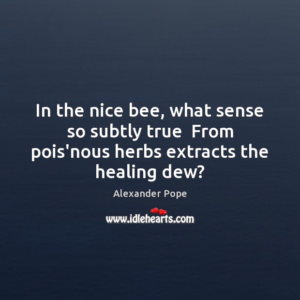 In the nice bee, what sense so subtly true  From pois’nous herbs extracts the healing dew? Image