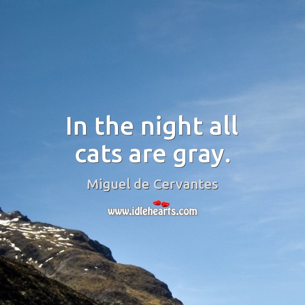 In the night all cats are gray. Miguel de Cervantes Picture Quote
