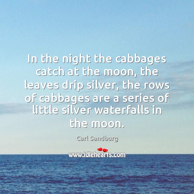 In the night the cabbages catch at the moon, the leaves drip Carl Sandburg Picture Quote