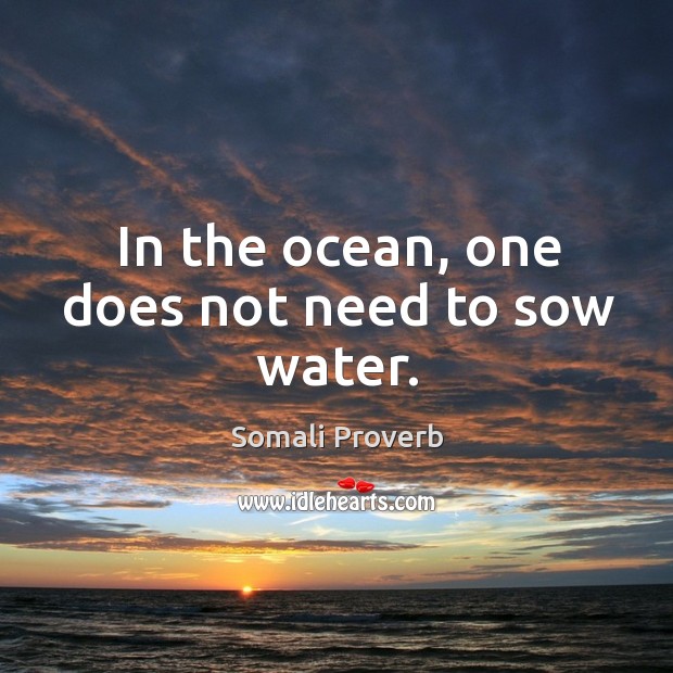 In the ocean, one does not need to sow water. Somali Proverbs Image